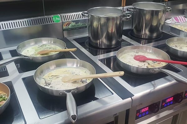 commercial induction range（1）